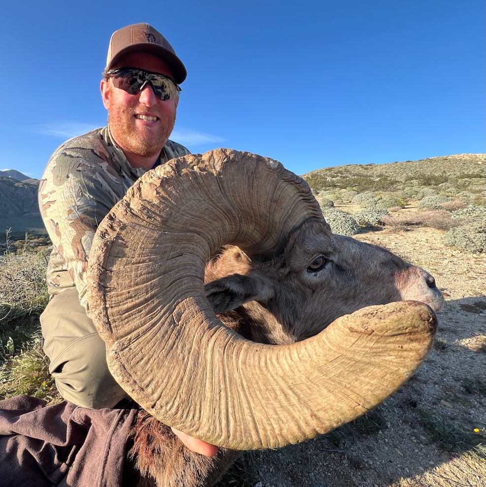 Alt Text is good for SEO